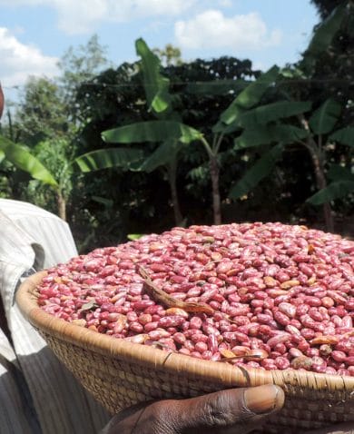 Image of a man smiling and holding a large woven basket filled with red-colored beans.