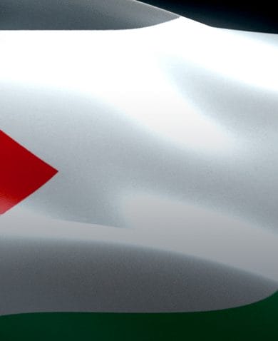 A close-up image of a waving Palestinian flag.