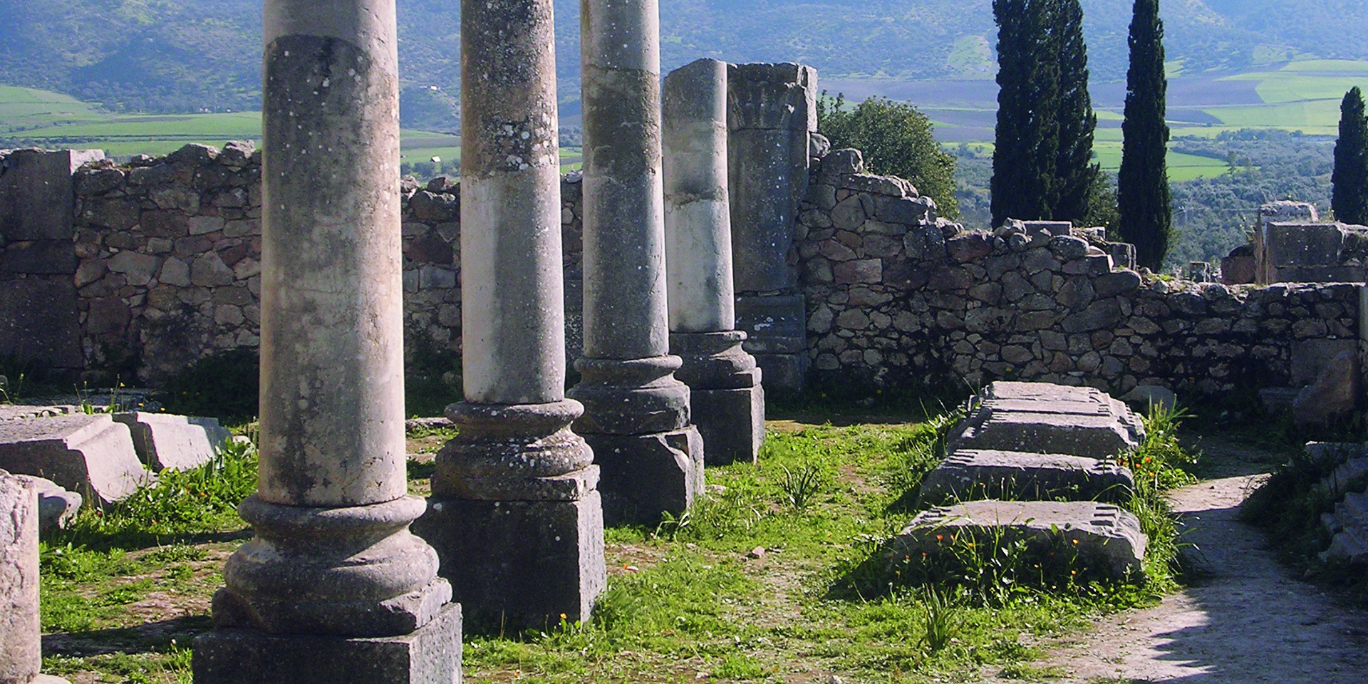 Image of large stone columns and partially fallen walls sticking out of green grass.