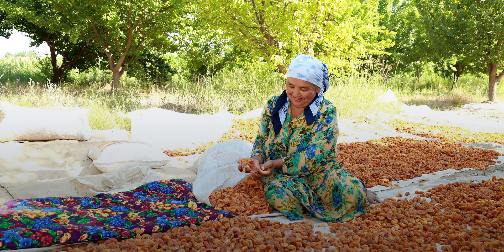 Image of a woman sitting amongst a large pie of dried apricots. She smiles as she holds a pile of them in her hands.