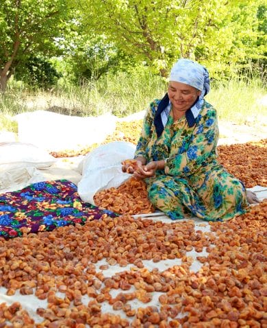 Image of a woman sitting amongst a large pie of dried apricots. She smiles as she holds a pile of them in her hands.
