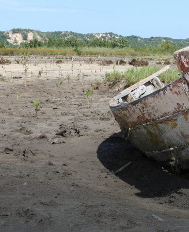 Image of a beach with a broken boat on the shore.