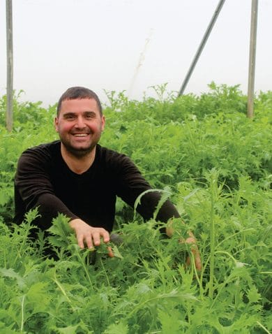 farmer smiling with lettuce