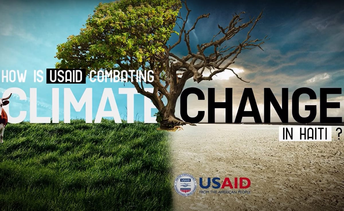 A graphic showing a tall tree standing between a green field and an arid desert. The tree is healthy and growing on the green field side, while leafless and dry on the desert side. Overlaid is the text "How is USAID Combating Climate Change in Haiti?"